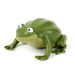 Terrific Talking Frogs  hi\-res