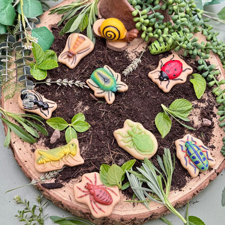 Yellow Door Small World Sensory Stone Insect 12pc  hi\-res