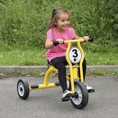 Wisdom Large Trike  hi-res