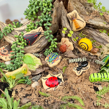 Yellow Door Small World Sensory Stone Insect 12pc  hi\-res