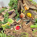 Yellow Door Small World Sensory Stone Insect 12pc  hi\-res