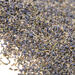 Dried Flowers Natural Collage Pack  hi\-res