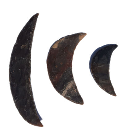 Stone Age Sickle Collection 3pk  hi\-res