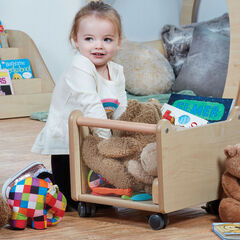 Millhouse Mini Storage Trug  hi-res