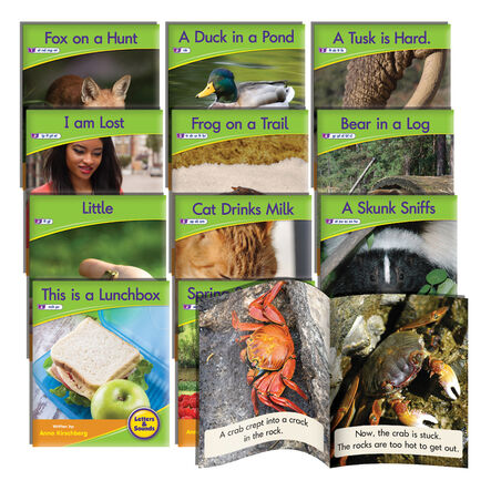 Letters \x26 Sounds Phonic Readers 72pk Guided Non Fiction PH 4  hi\-res