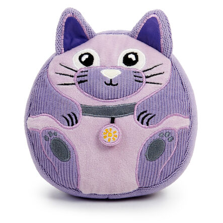 Calming Kittens and Activity Cards  hi\-res