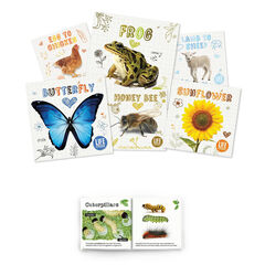 Life Cycles Book Pack  hi-res