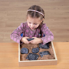 Sensory Fossil Replica Set 6pcs  hi-res