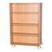 Double Sided Mobile Bookcase 1500mm(h)  hi\-res