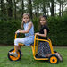 Rabo Chariot Trike  hi\-res