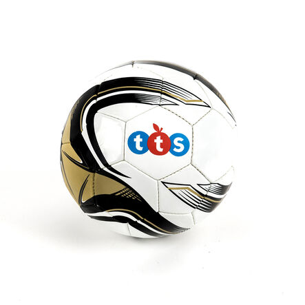 TTS Match and Training Footballs Size 4 12pk  hi\-res