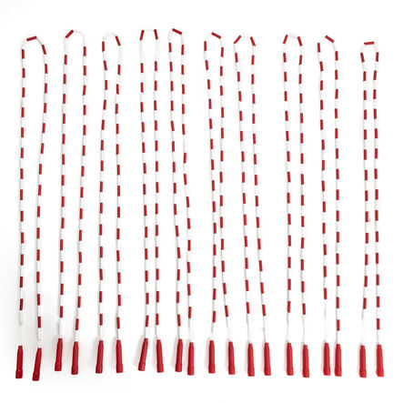 Segmented Skipping Ropes 10pk  hi\-res