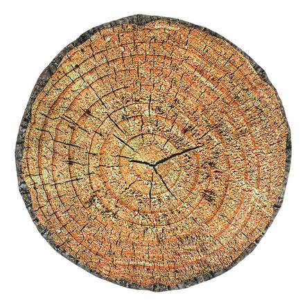 Learn about Nature Tree Stump Seat  hi\-res