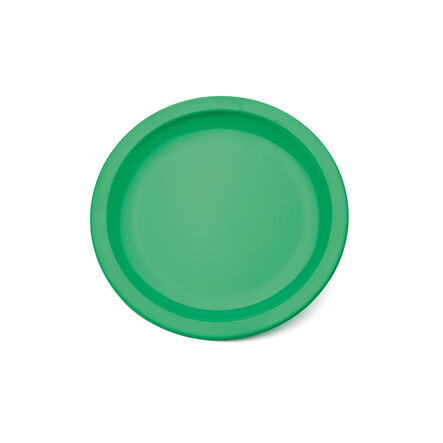 Colourful Polycarbonate Plates Single  hi\-res