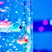Bubble Tube  hi\-res