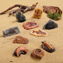 Small World Dinosaur & More Fossil Replicas 10pcs  hi-res