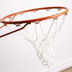 Wall Mounted Basketball Hoop and Net  hi-res