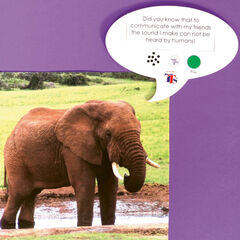 TTS Talk-time A5 Recordable Speech Bubble  hi-res