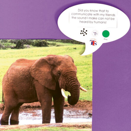TTS Talk\-time A5 Recordable Speech Bubble  hi\-res