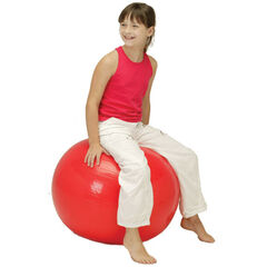 Balance Fitness Ball  hi-res