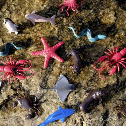 Small World Tub of Ocean Creatures 60pk  hi\-res