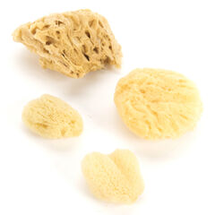 Natural Sea Sponge Variety Pack 4pk  hi-res