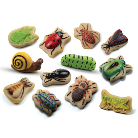 Yellow Door Small World Sensory Stone Insect 12pc  hi\-res