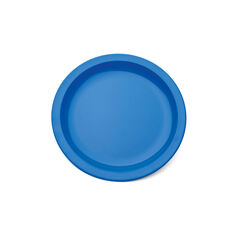 Colourful Polycarbonate Plates Single  hi-res