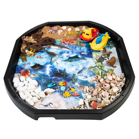 Assorted Sea Shells 1kg  hi\-res