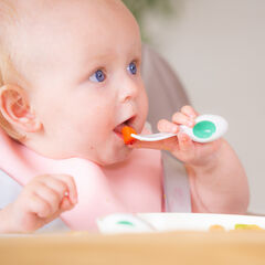 Doddl Baby Cutlery and Case  hi-res
