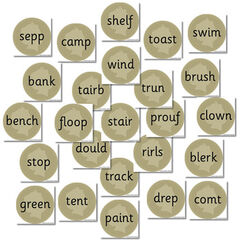 Phase 2 Buried Treasure Decoding Word Cards  hi-res