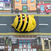 TTS Bee\-Bot® Starter Set  hi\-res