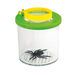 Bug Viewer Pot  hi\-res