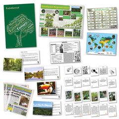 Rainforest Curriculum Pack  hi-res