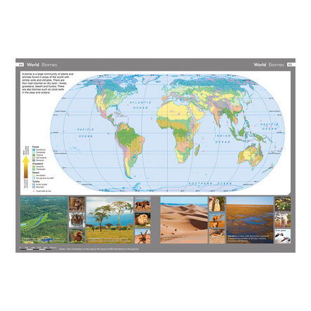 Collins Junior World Atlases KS2  hi\-res