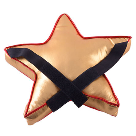 TTS Star Pupil Reward Chair Back  hi\-res