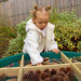 Tuff Tray Loose Parts Sorting Dividers  hi\-res