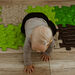 Happy Feet Forest Path Sensory Play Mats 15pk  hi\-res