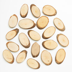 Wood Craft Slices 20pk  hi-res
