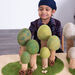 Small World Four Season Trees 12pk  hi\-res