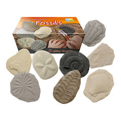 Let's Investigate Fossils 8pcs  hi-res