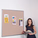 FlameShield Accents Unframed Noticeboard  hi\-res