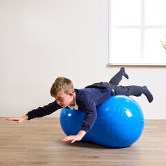 Peanut Therapy Ball  hi-res