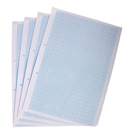 A4 Graph Paper 2, 10 \x26 20mm Squares Punched 2 Holes 2500pk  hi\-res