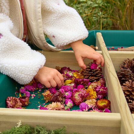 Tuff Tray Loose Parts Sorting Dividers  hi\-res