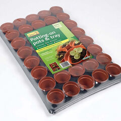 Plastic Plant Pot Tray 40pk  hi-res