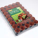 Plastic Plant Pot Tray 40pk  hi\-res