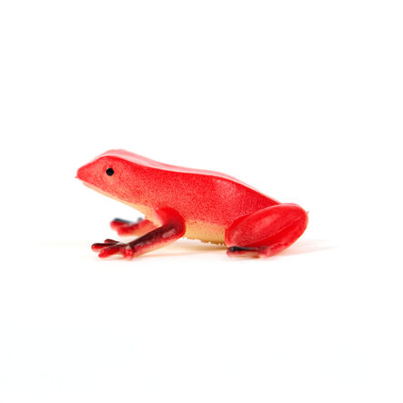 Small World Plastic Reptiles 60pk  hi\-res