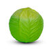 Natural Rubber Toddler Fruit \x26 Veg Chewables  hi\-res