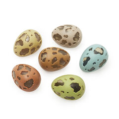 Sensory Egg Shakers 6pk  hi-res